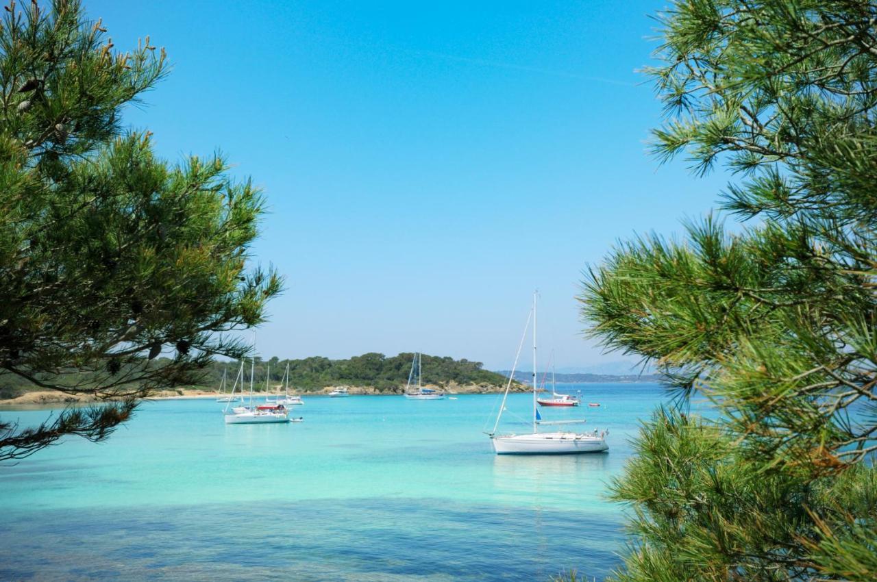 Joli Studio Entre La Mer Et La Ville Hyères Eksteriør billede
